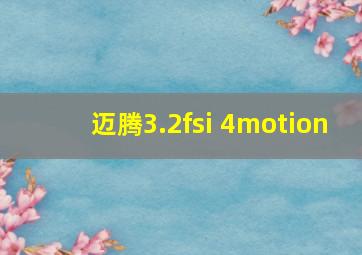 迈腾3.2fsi 4motion